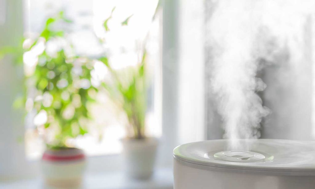 Prepara humidificadores caseros para cualquier ambiente de tu casa