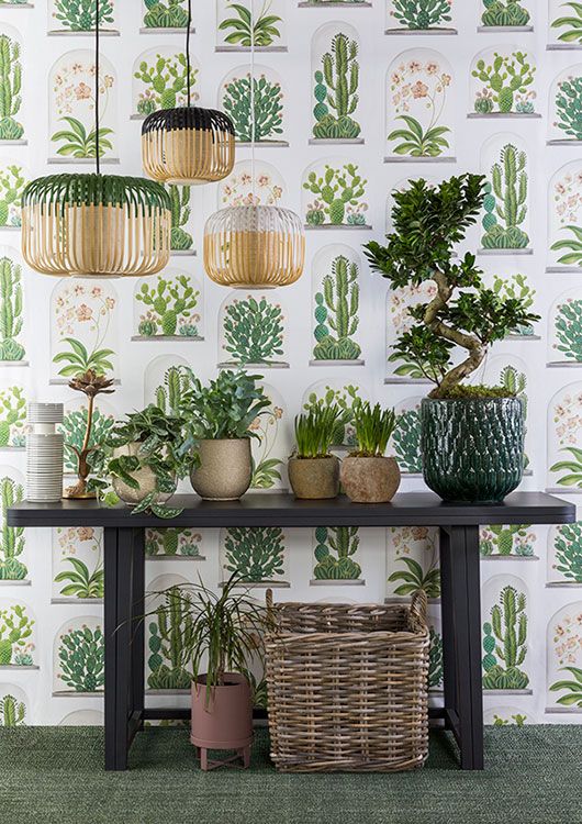 Como Decorar Con Plantas El Interior Tu Casa