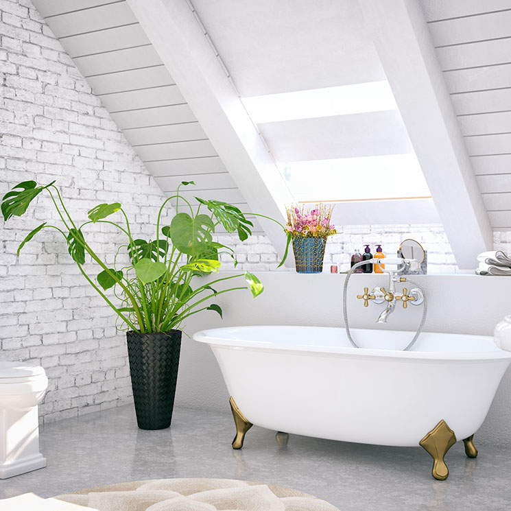 Las mejores plantas de interior para decorar el baño y convertirlo en un vergel 