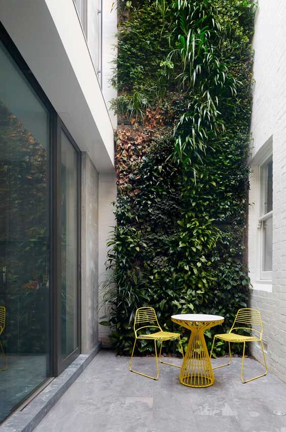 Guía para reformar y decorar el patio de casa - Foto 2