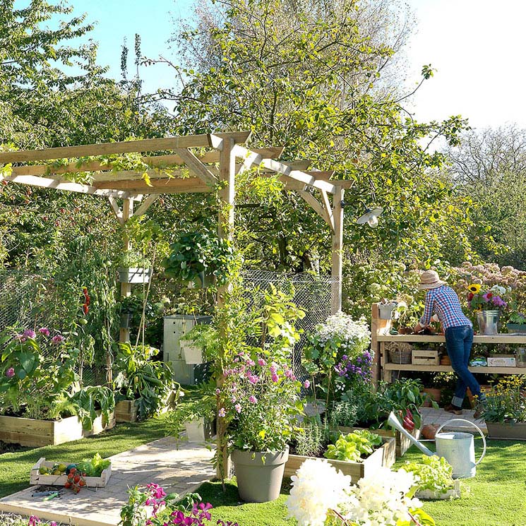 Plantas de exterior que ahuyentan a