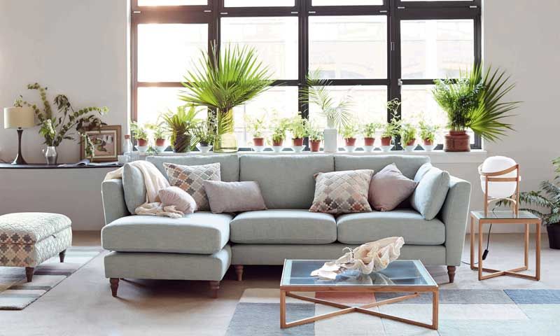 Saló amb sofà de color gris i moltes plantes d'interior
