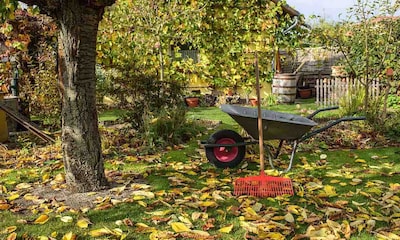 Descubre todos los cuidados que debes darle a tu jardín en otoño