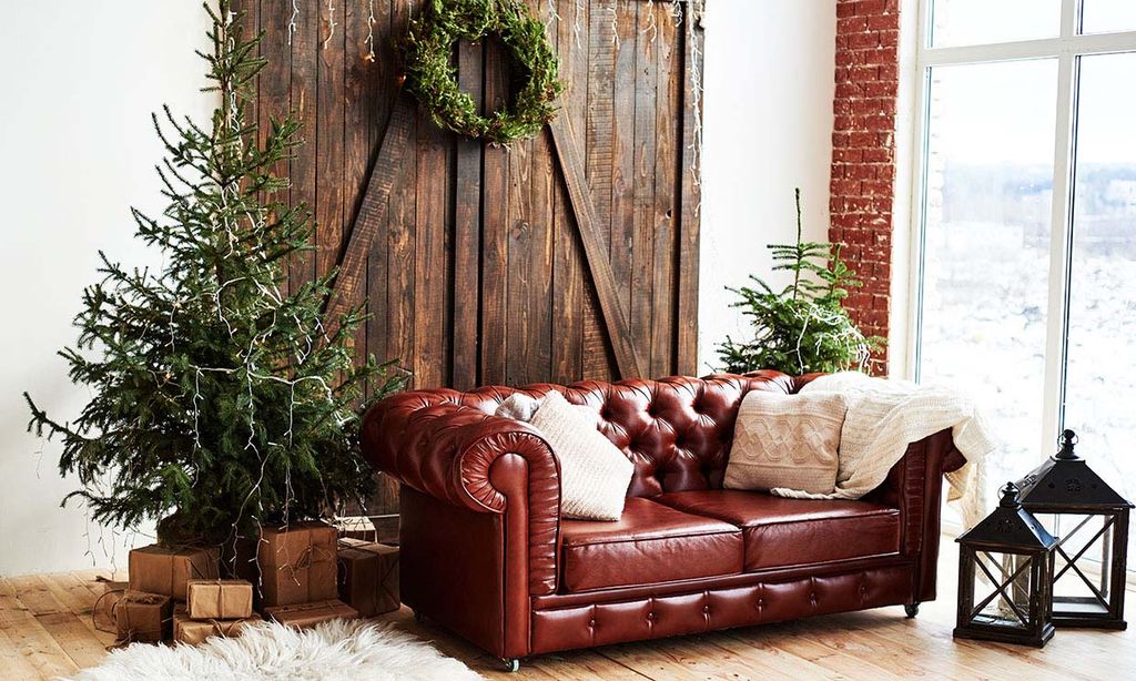 Este año decora tu casa con un árbol de Navidad natural