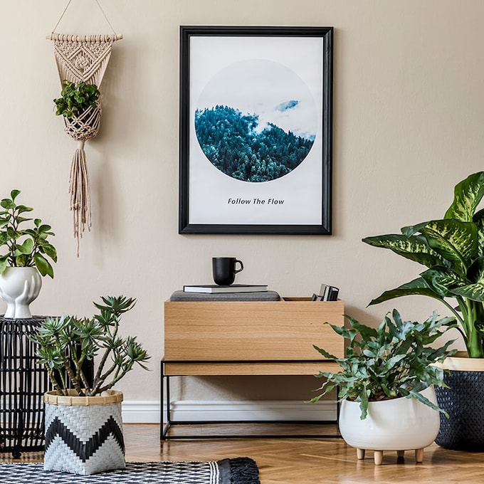 Las mejores ideas DIY para exponer tus plantas de interior