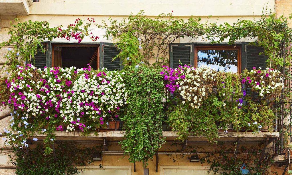 Las mejores plantas para convertir tu balcón en un vergel antes de que llegue la primavera