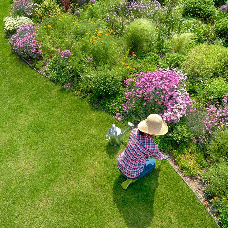 Todos los cuidados que debes darle a tu jardín en primavera