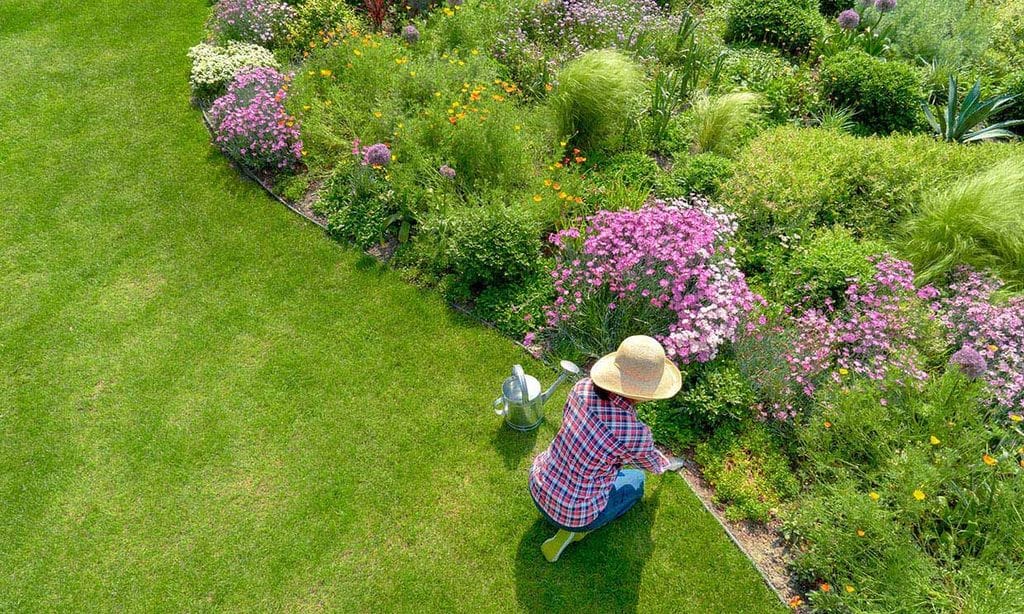 Todos los cuidados que debes darle a tu jardín en primavera