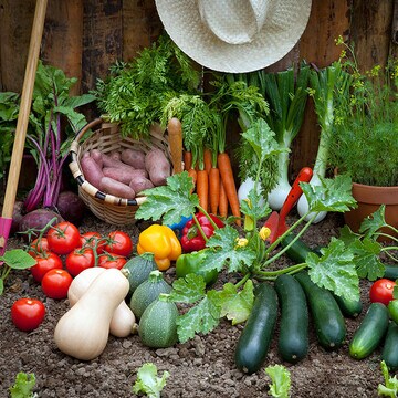 Huerto en casa: 10 hortalizas que puedes sembrar en primavera 