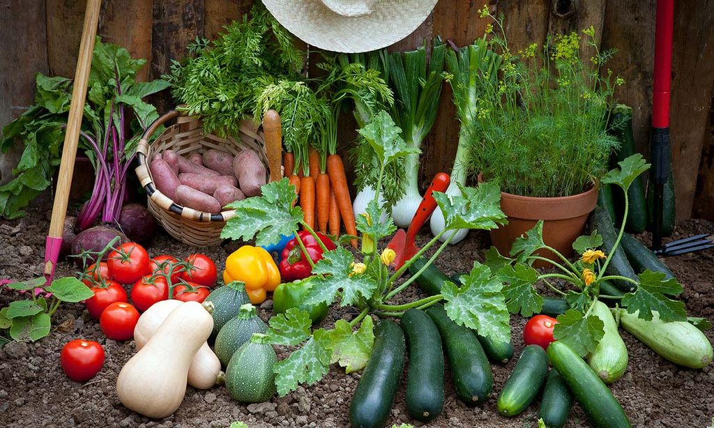 Huerto en casa: 10 hortalizas que puedes sembrar en primavera