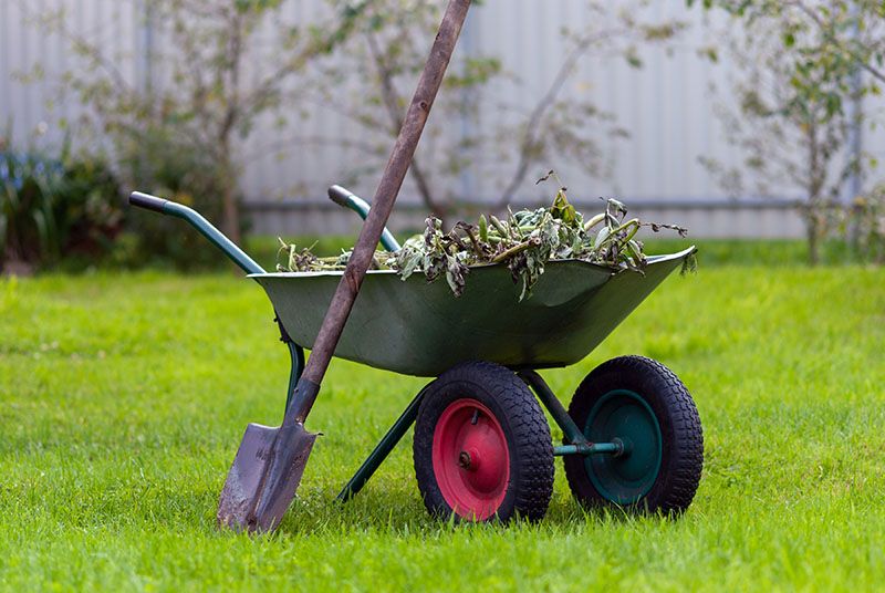 Cómo eliminar las malas hierbas del jardín y el huerto