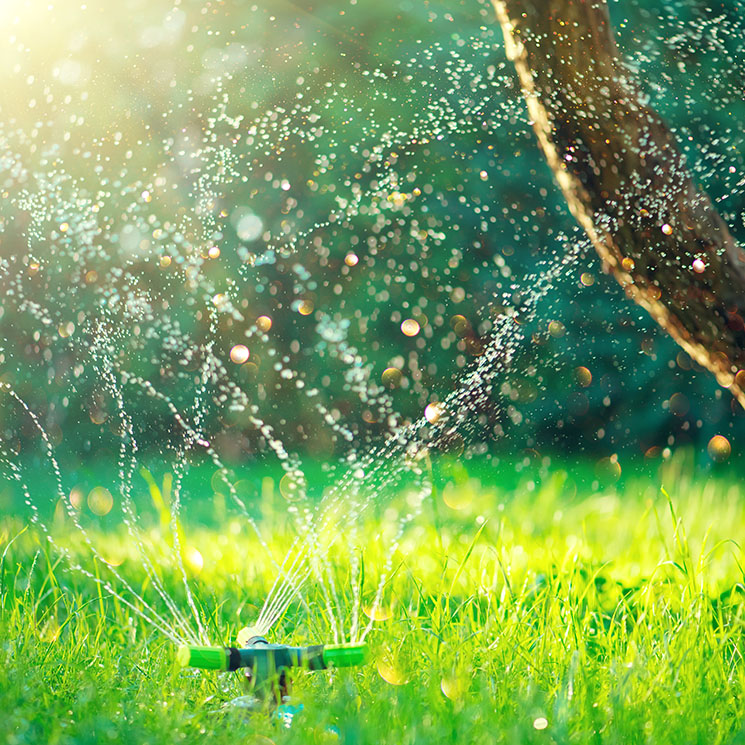 ¿Sabes cuál es el mejor sistema de riego para tu jardín?