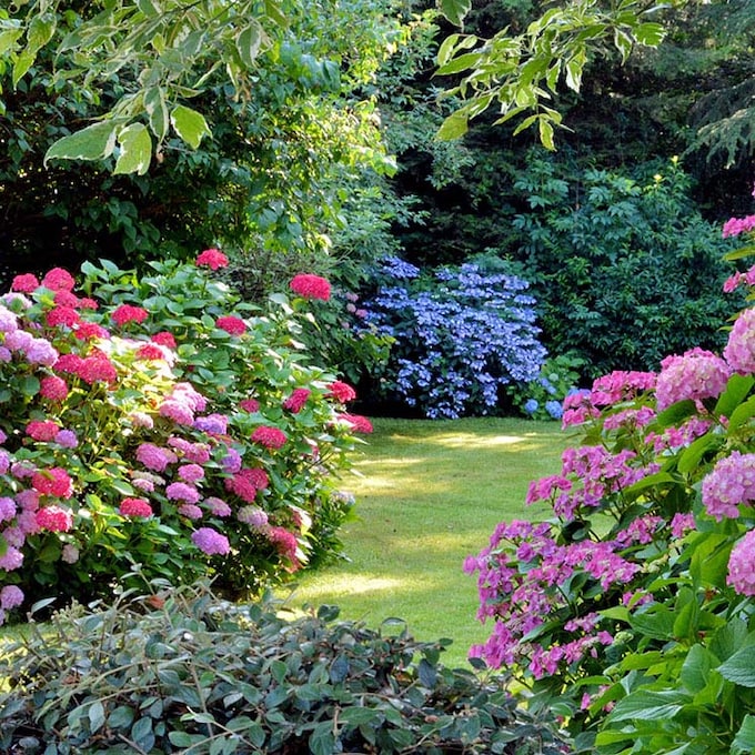 Elige los mejores fertilizantes para tus plantas y revitaliza tu jardín