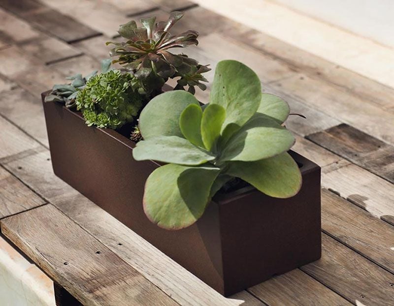 ¿Sabes cuáles son las mejores macetas