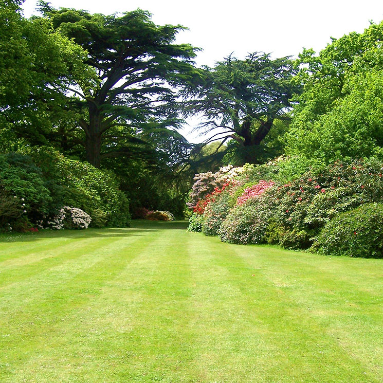 Así debes cuidar el césped en verano para disfrutarlo en tu jardín - Foto 1