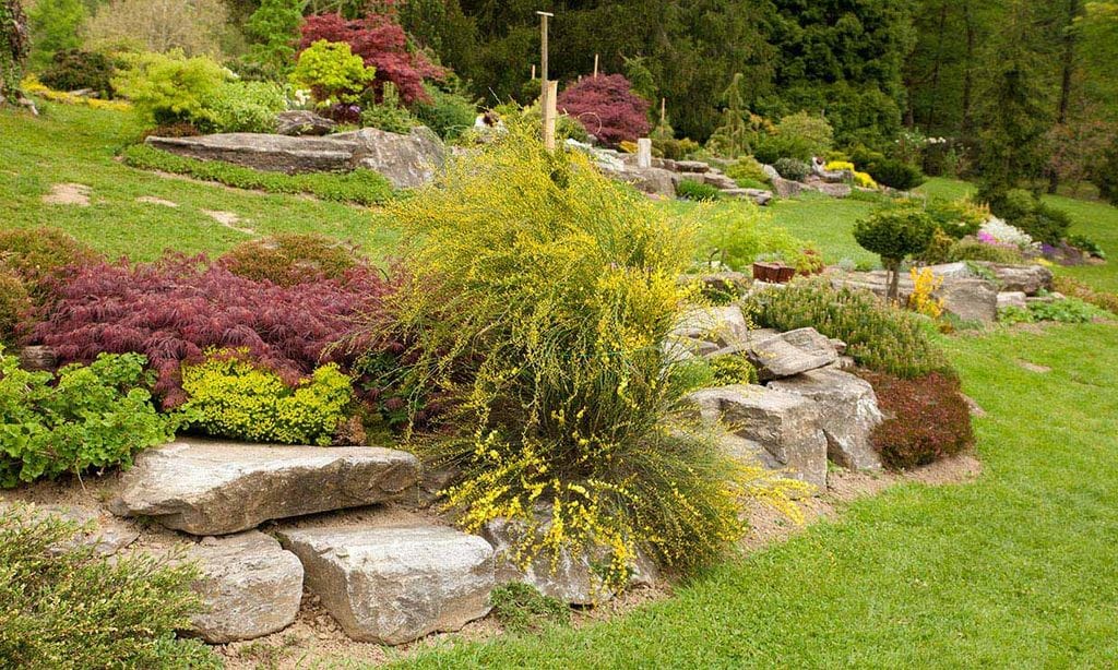 ¿Sabes cómo crear un jardín de rocalla?