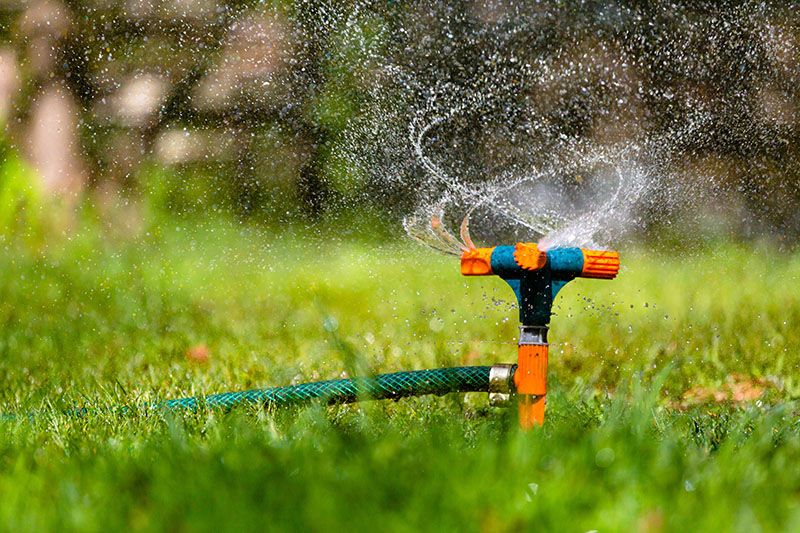 Como Meterse En Un Jardin Episodios
