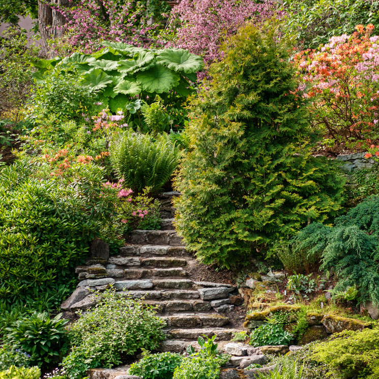 Cómo diseñar un jardín en un terreno con pendiente