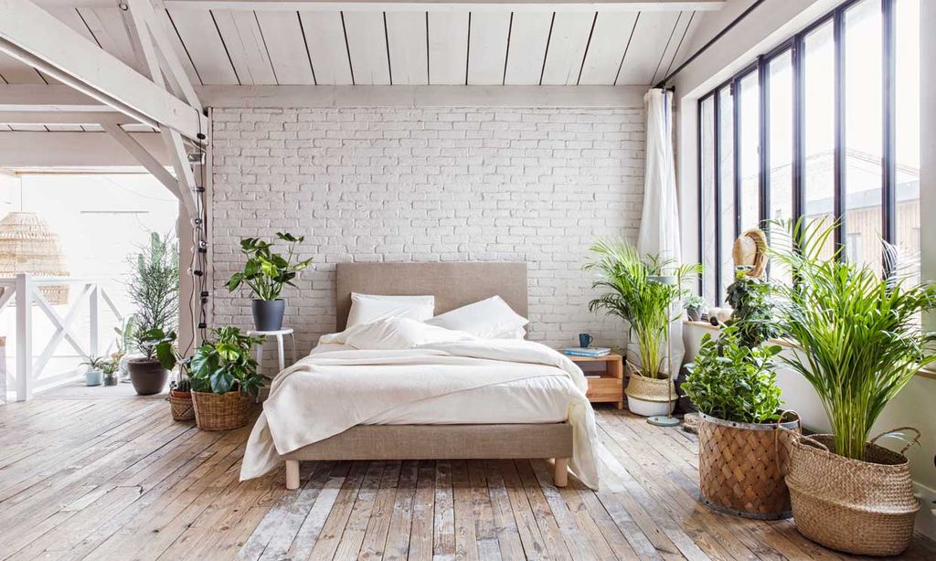 Cómo hacer tu casa más 'verde' por fuera… ¡Y por dentro!