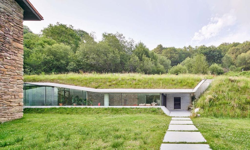 Cubiertas verdes: el techo vegetal para tu casa o edificio