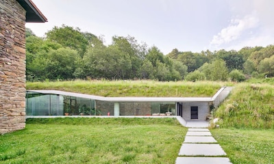 Cubiertas verdes: el techo vegetal para tu casa o edificio