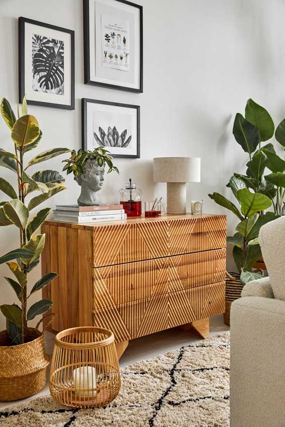 Aparador de madera decorado con plantas a cada lado