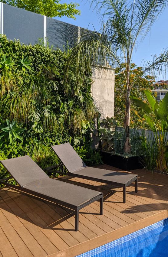 Cómo diseñar un jardín vertical natural, según dos paisajistas - Foto 1