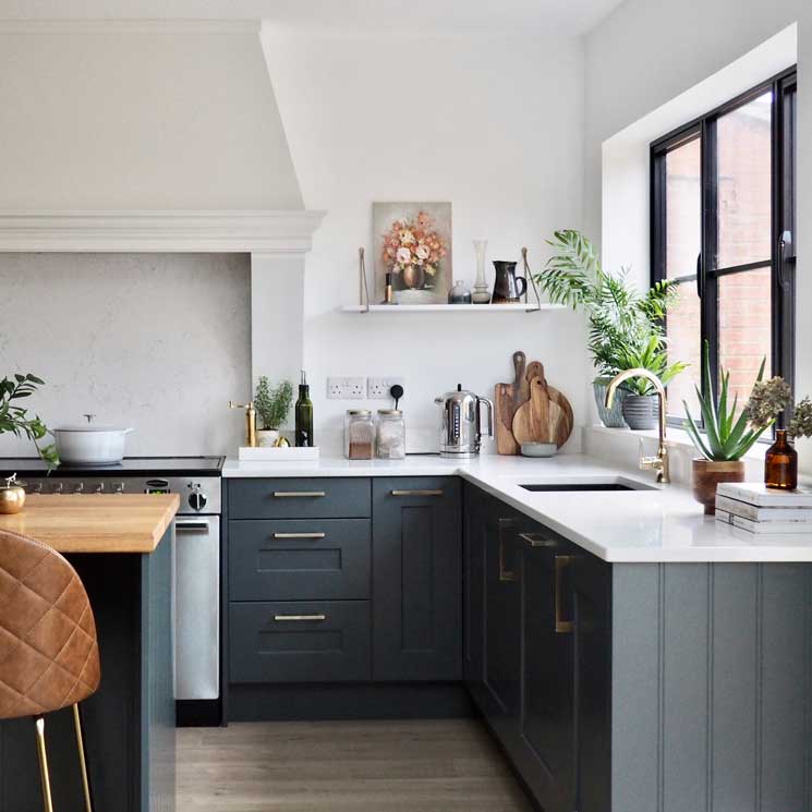 Trucos para ahuyentar a los mosquitos de tu cocina - Foto 1