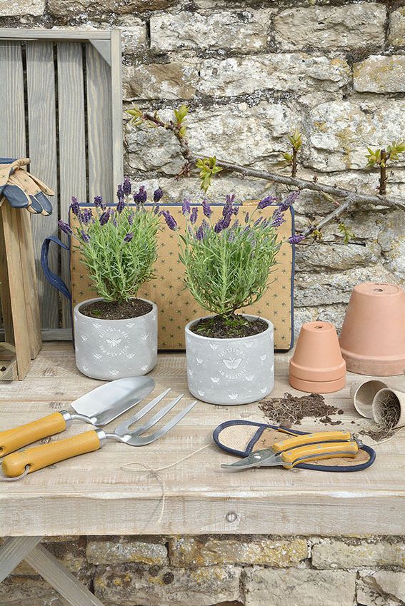 Descubre las herramientas imprescindibles para cuidar tu jardín - Foto 2