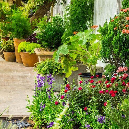 Consejos útiles para proteger tus plantas de exterior del calor en verano