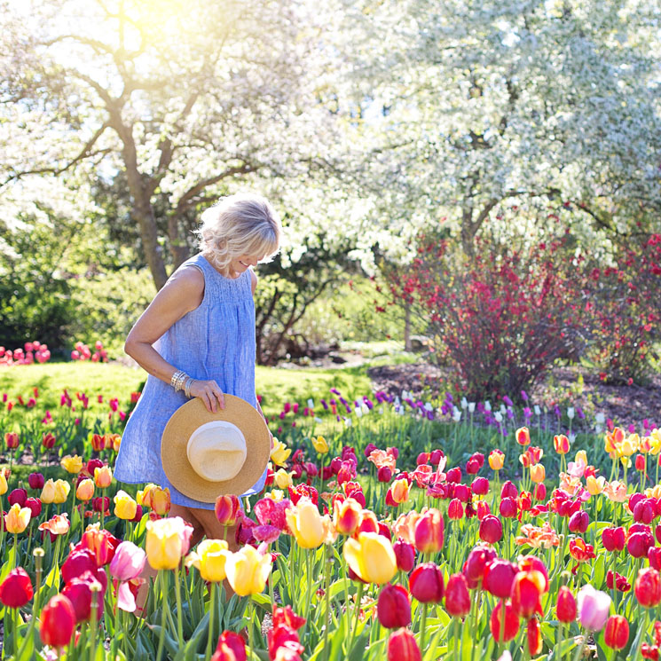 ¿Cuánto tiempo tarda tu jardín en lucir con todo su esplendor?