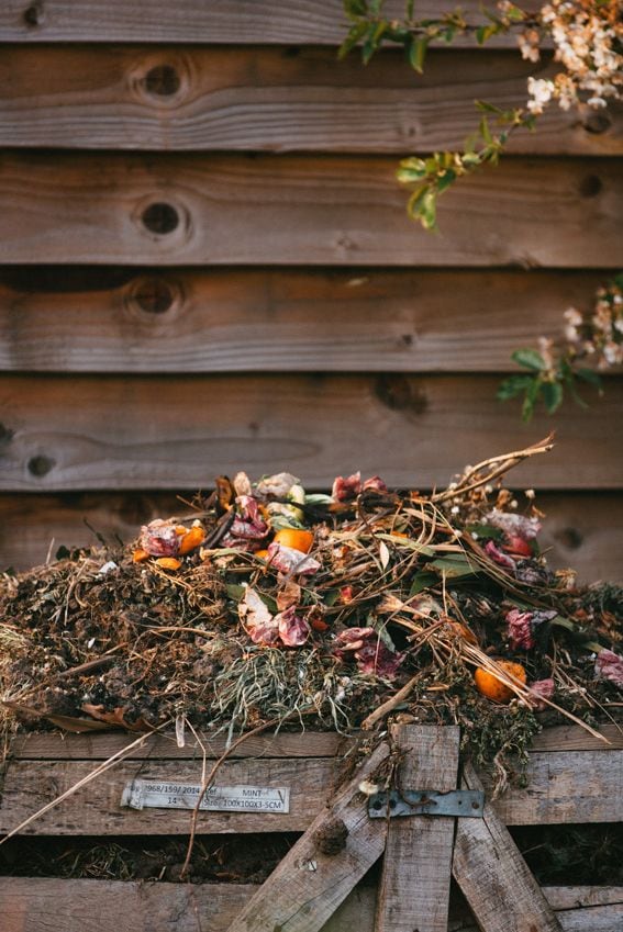 Plantas y flores para hacer compost