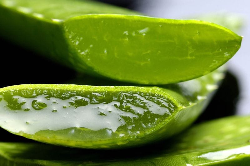 Hoja de aloe vera cortada