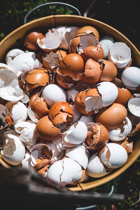 Hay fertilizantes caseros poco o nada efectivos, como machacar cáscaras de huevo