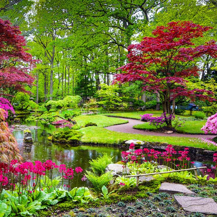 Cómo plantear el diseño de un jardín japonés