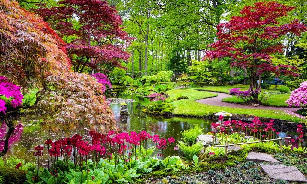 Cómo plantear el diseño de un jardín japonés