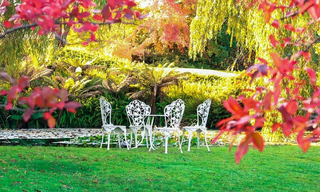 El diseño de un jardín sostenible empieza por comprender los microclimas