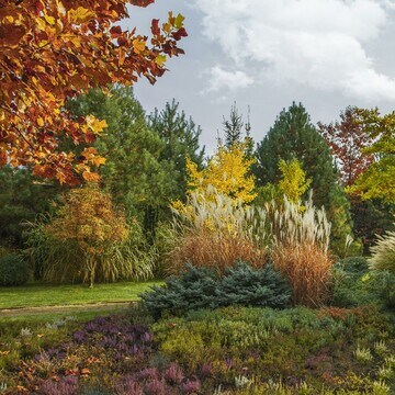 Árboles para el jardín que muestran su mayor esplendor en otoño