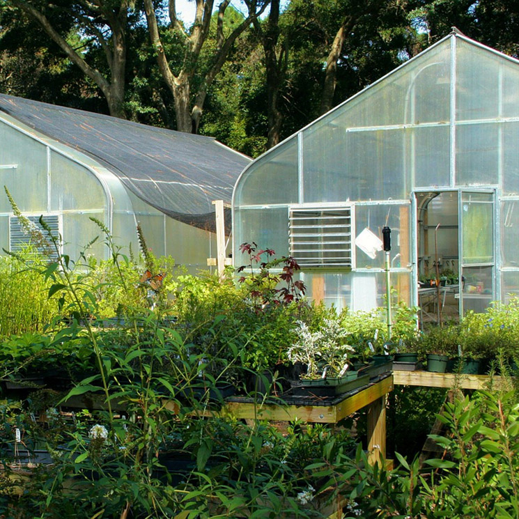 El huerto en invierno: cultiva, cosecha y planifica la próxima temporada de hortalizas y frutas