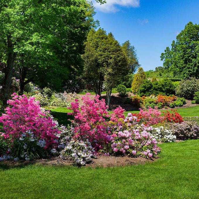¿Sabes cómo conseguir un jardín de estilo inglés con mucho encanto? 