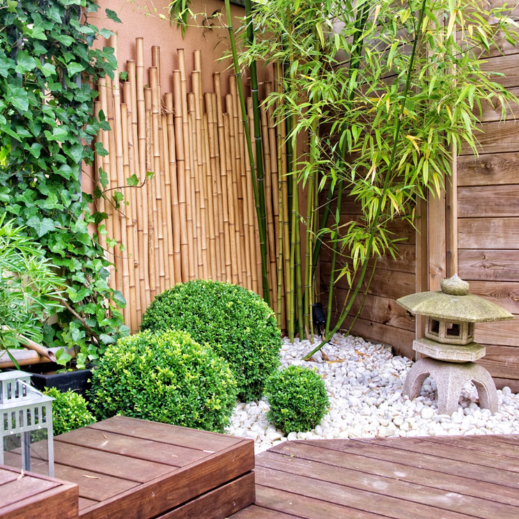 ¿Te gustaría crear un jardín japonés armónico y con mucho encanto?