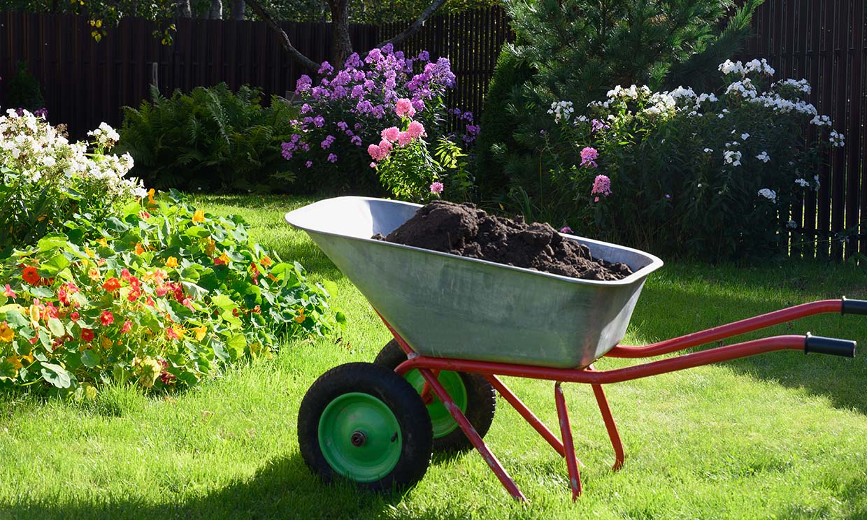 Todas las preguntas que debes plantearte antes de hacer compost para tus plantas