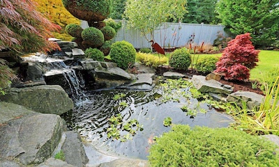 ¿Sabes cuáles son las tareas de mantenimiento de un estanque en el jardín?