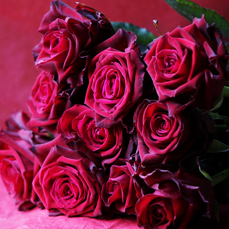 Crea tu propio arreglo floral con rosas rojas