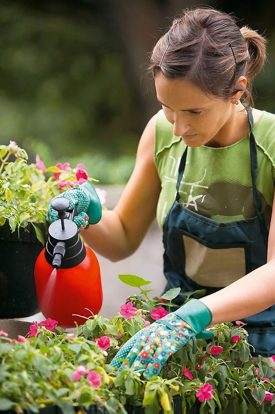 Jardinera en su casa, fumigando una planta con guantes de protección