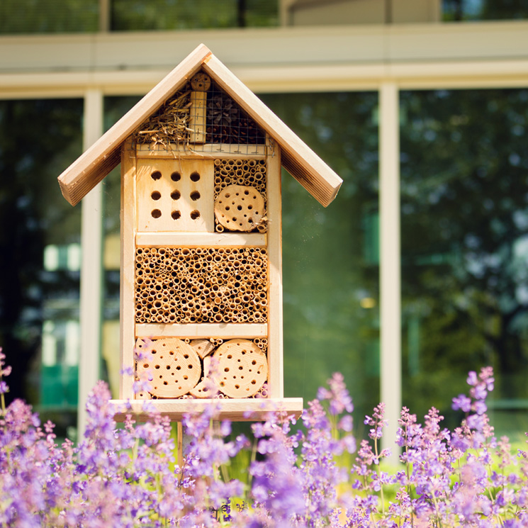 ¿Te animas a tener un hotel para insectos en tu jardín? Así ayudarás al medio ambiente