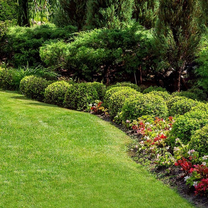 ¿Sabes elegir el tipo de césped que más le conviene a tu jardín?