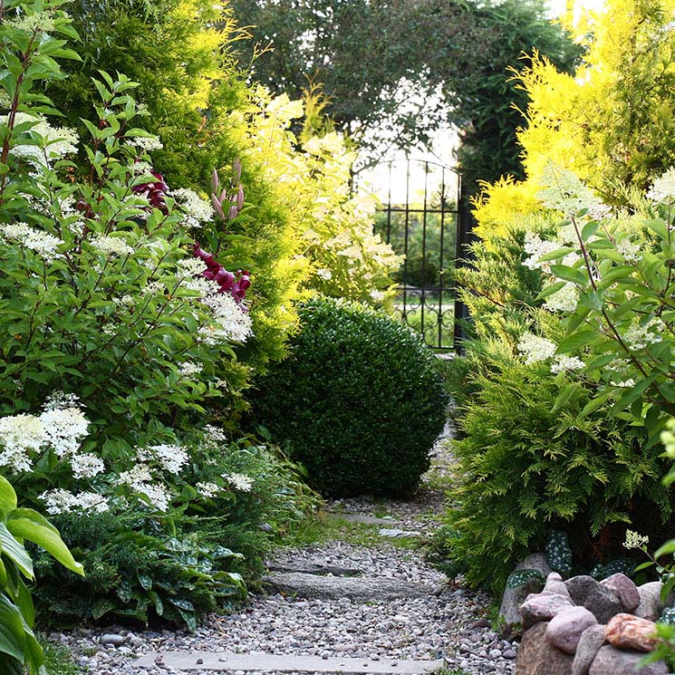 'Slow gardening', una forma diferente de entender el cuidado de tu jardín