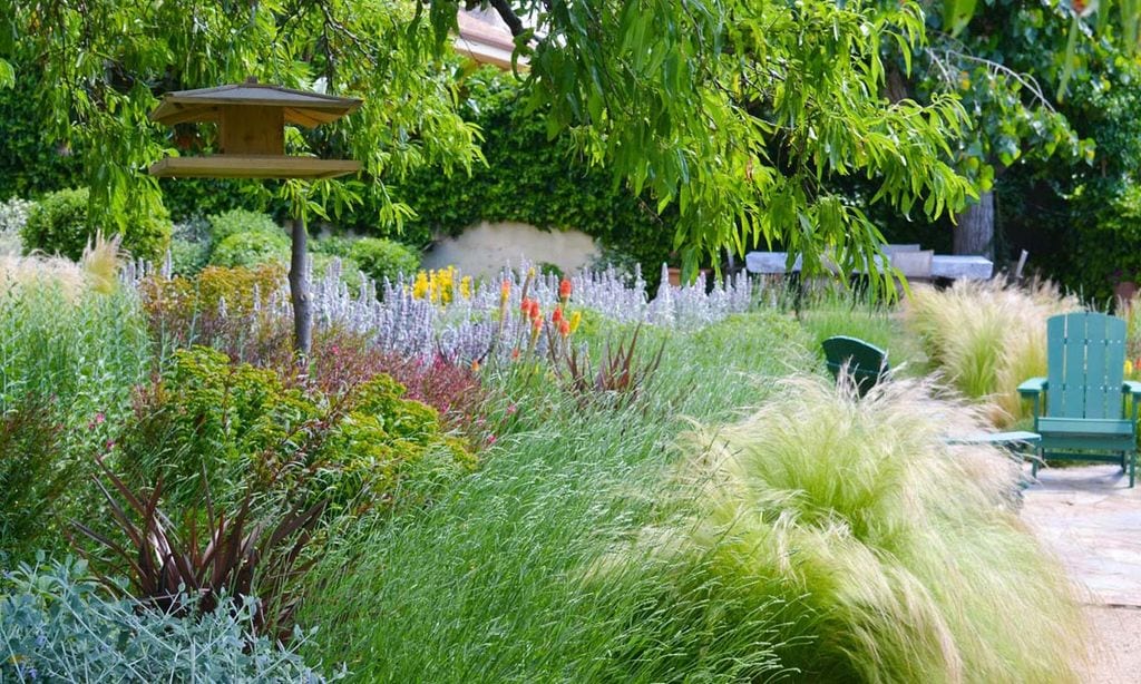 Cómo generar biodiversidad en tu jardín con plantas y otros recursos