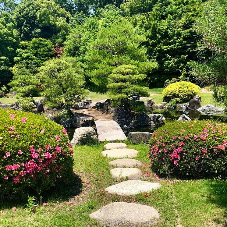 Todas las claves para plantear un jardín verde y frondoso, pero con un bajo consumo de agua